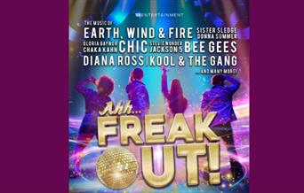 Ahh Freak Out! - The World's Biggest Disco Hits, Brixham Theatre, Brixham