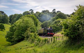 Dartmouth Steam Railway (starting in Paignton)