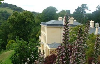 Travelling trees trail- Greenway House, Nr Brixham, Devon