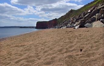 hollicombe beach