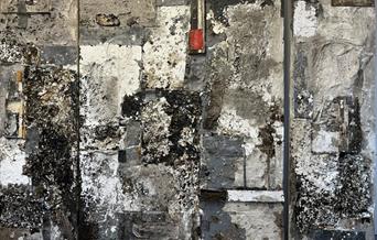 Wasteland, The Yellowing - Works of Keith Frake