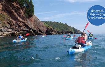 Group of Kayaks,  Coastal Kayak Safari - Reach Outdoors