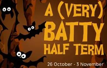 A (very) Batty Half-Term, Kents Cavern