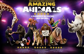 Amazing Animals, Babbacombe Theatre