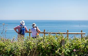 Stunning views from Landscove, Brixham, Devon