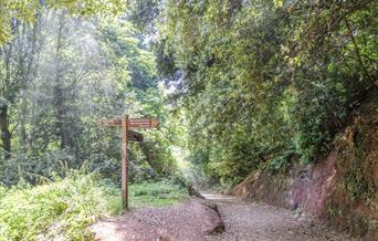 Signpost to Manscombe Woods, Cockington, Torquay, Devon