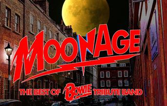 MoonAge - The Best of Bowie Tribute Band, Brixham Theatre