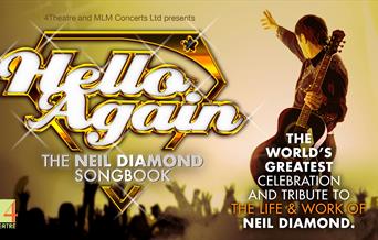 Hello Again...Neil Diamond, Princess Theatre, Torquay, Devon