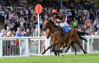 Horseracing at Newton Abbot Racecourse, Devon