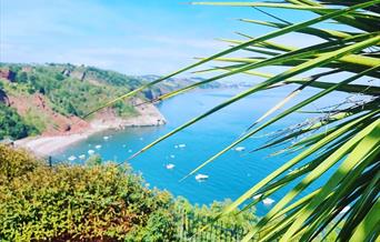 Oddicombe Beach, Torquay, Devon