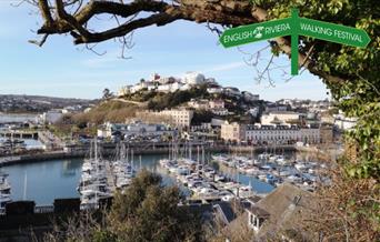 A view looking down across Torquay harbour and across to the far side of Torquay.