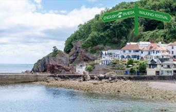 View from the sea across to Babbacombe beach and quay and the Cary Arms.