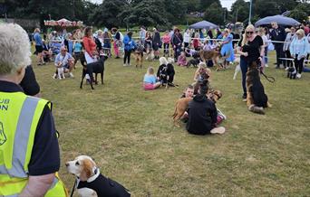 Paignton Lions Club Fun Day, Goodrington, Paignton, Devon
