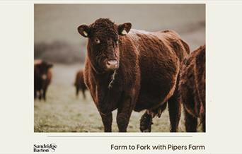 Farm to Fork with Pipers Farm, Sandridge Barton