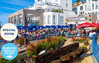 Outdoor seating, BATTERED in BRIXHAM - The Best Fish and Chips and a Pint for Lunch, Part of England's Seafood FEAST, The Prince William, Brixham, Dev