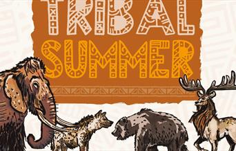 Tribal Summer