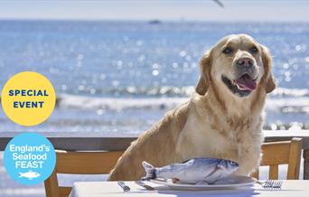 Sea Dogs at Shoreline, England's Seafood FEAST