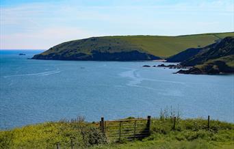 View of Sharkham, Nr Brixham, Devon