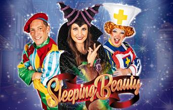 Sleeping Beauty, Princess Theatre, Torquay