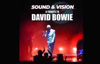 Sound and Vision - A Tribute to David Bowie, Palace Theatre, Paignton