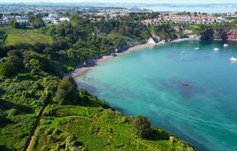 Dog Friendly Beaches - Torquay, Paignton & Brixham - English Riviera
