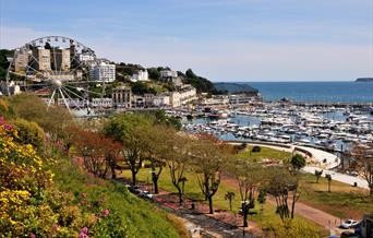 Oddicombe Hall Hotel Torquay