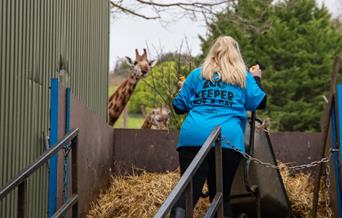 Zoo Keeper for a Day Experience at Paignton Zoo