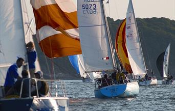 Sailing in the Bay, Brixham, Devon