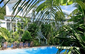 Sub tropical garden and swimming pool at Hunsdon Road, Torquay, Devon