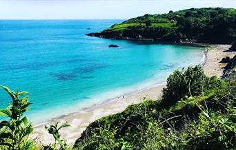 Dog Friendly Beaches - Torquay, Paignton & Brixham - English Riviera