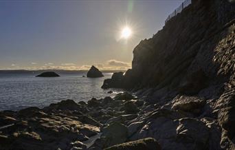 Dog Friendly Beaches - Torquay, Paignton & Brixham - English Riviera