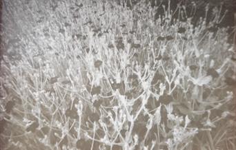 Artizan Collective Geopark Artists Residency Exhibition