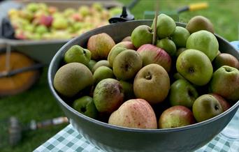 Cider Making Workshop with Orchard Drinks, Occombe Farm, Paignton