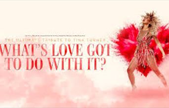 What's Love Got To Do With It? A Tribute To Tina Turner, Princess Theatre, Torquay