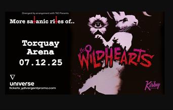 The Wildhearts, Arena Torquay