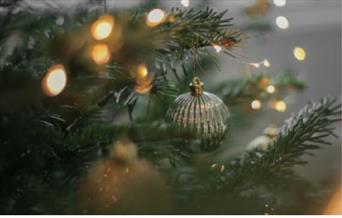 Murder Mystery Afternoon tea: A shocking Christmas!, Palace Theatre, Paignton