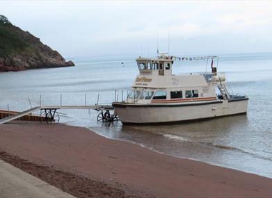 boat trip in devon