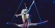 Performer at Circus Brazil