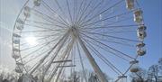 English Riviera Wheel
