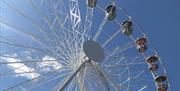 English Riviera Wheel, Torquay, Devon