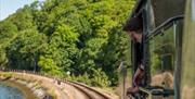 A man looks out of the cabin of a vintage locomotive. Dartmouth Steam Railway and River Boat Company. English Riviera.