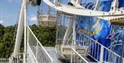 English Riviera Wheel