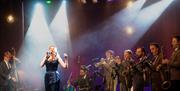 Swing That Music with the Down for the Count All-Stars singer and backing band