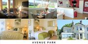 Avenue Park Villa. Spacious Lounge and Kitchen Diner overlooking the park. Torquay, Devon