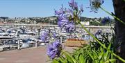 Torquay Marina, Torquay, Devon