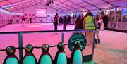 Penguins at New real ice rink at Torre Abbey, Torquay