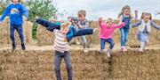 Donkeys at Occombe Farm, Torbay Coast and Countryside Trust