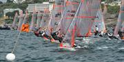 29er GP, Torquay, Devon