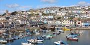 View from 51 Moorings Reach, Brixham