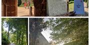 Photo Collage of the Phantoms of the Coast and Countryside self-guided road trip
photos showing gravestones, forest paths, eerie buildings and ruins
